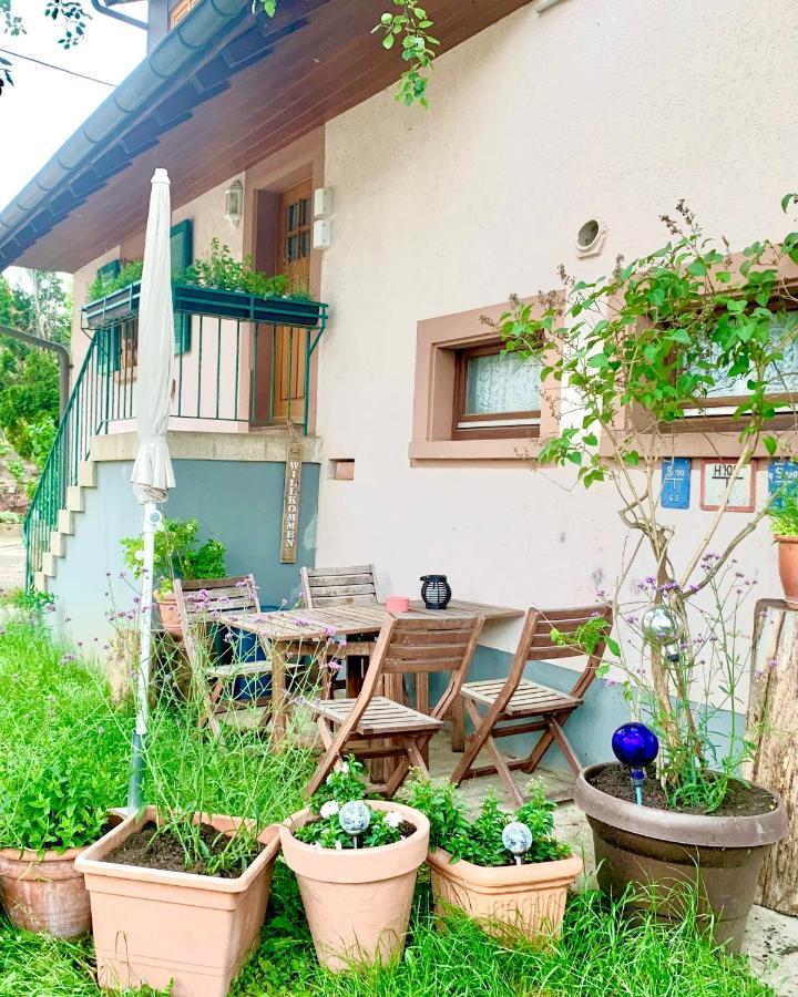 Sexau Ferienwohnung Diana מראה חיצוני תמונה